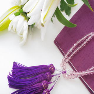 �o�����{